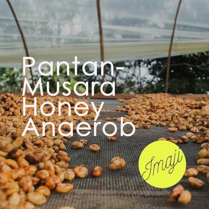 

Kopi Arabica Pantan Musara Anaerob Honey 200 gram, by IMAJI KOPI