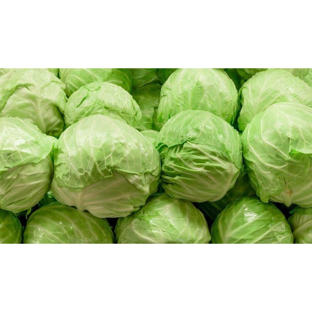 

Kubis Segar +/- 500 gram
