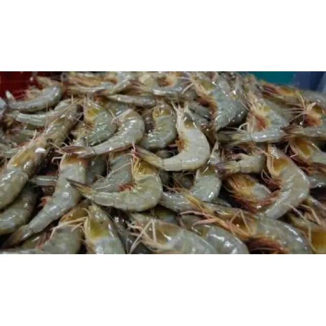 

Udang besar 500 gram - sayur