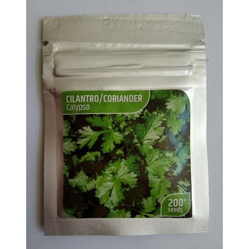 Hanya Disini] Benih Biji Ketumbar Coriander Cilantro Calypso Pack