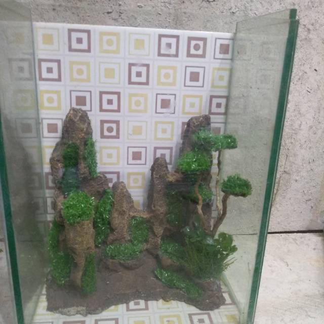 

Aquasecape