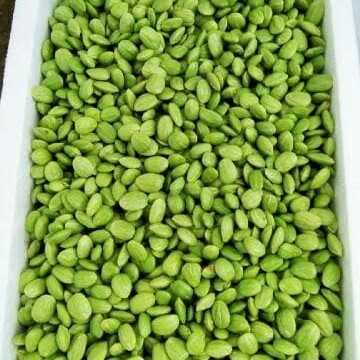 

Petai/Pete Kupas Fresh Super Premium 250 Gr Pasar Bandung Berkah