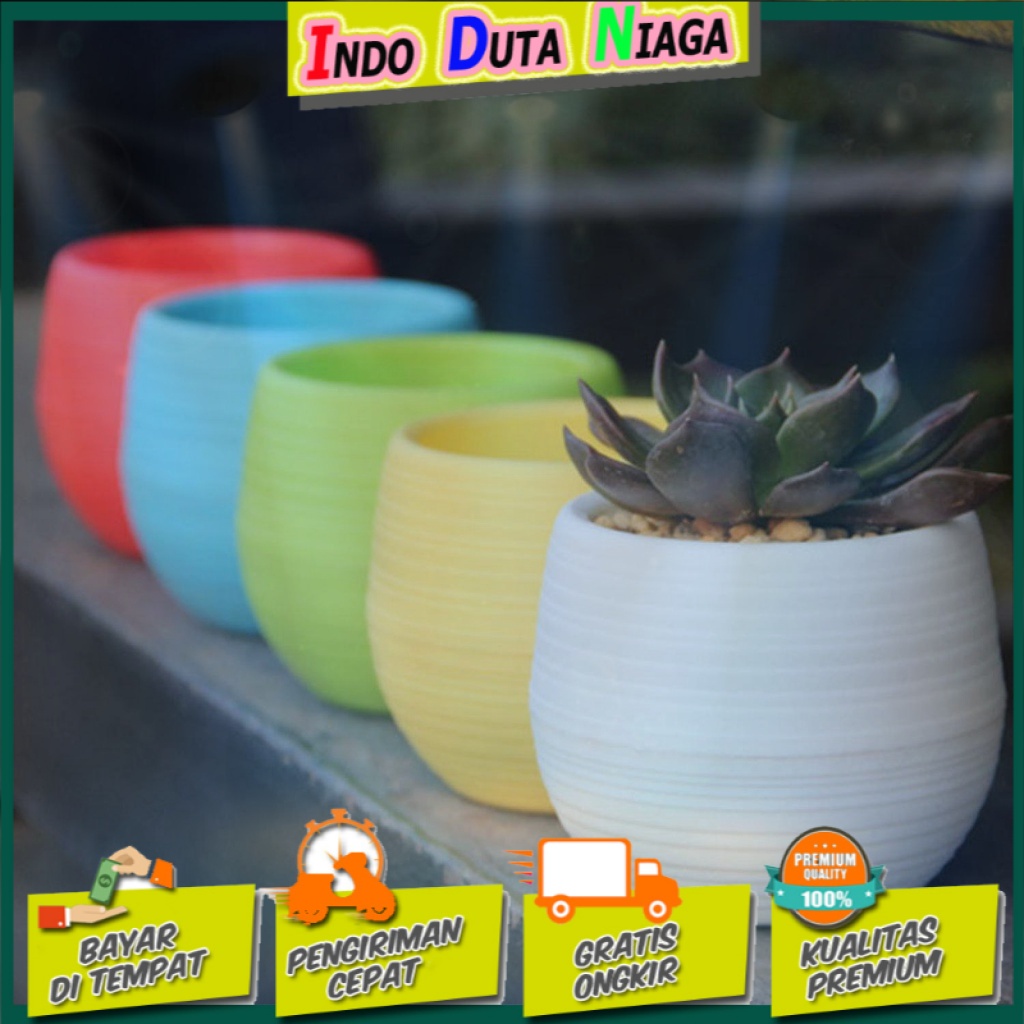 Mini Pot Bunga Hias Kaktus Tanaman - 5pcs