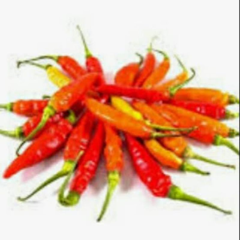 

Cabe rawit merah 100gr