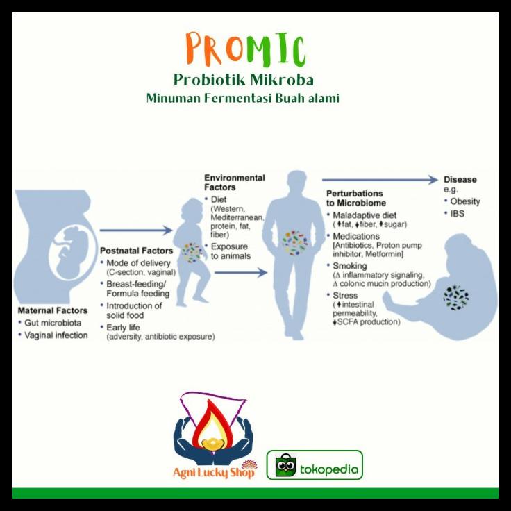 

DISKON TERBATAS !!! PROMIC BIANG MICROBS MINUMAN PROBIOTIC MINUMAN KESEHATAN 1 LITER TERLARIS