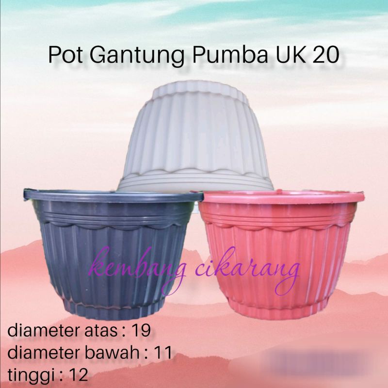 POT GANTUNG PUMBA size 20 Pot bunga gantung bagus termasuk tali