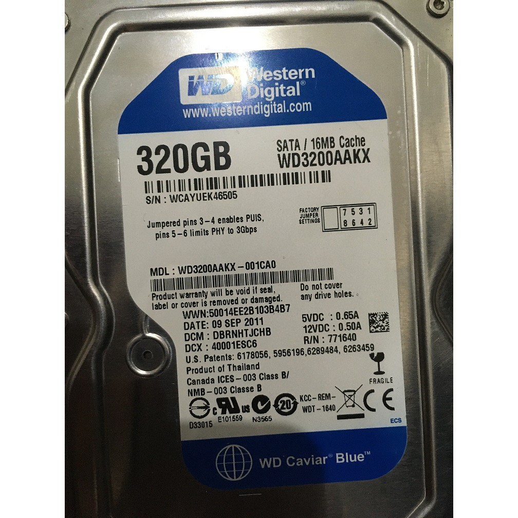 HARDISK HDD PC KOMPUTER 320GB SATA FREE WINDOWS