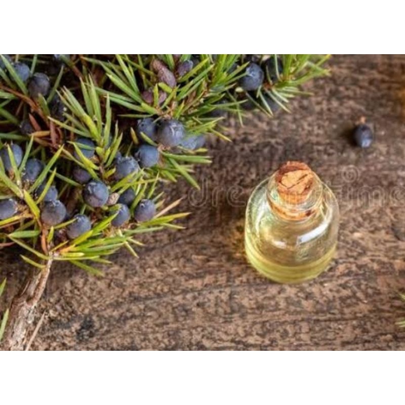 JUNIPER BERRY OIL 100% PURE