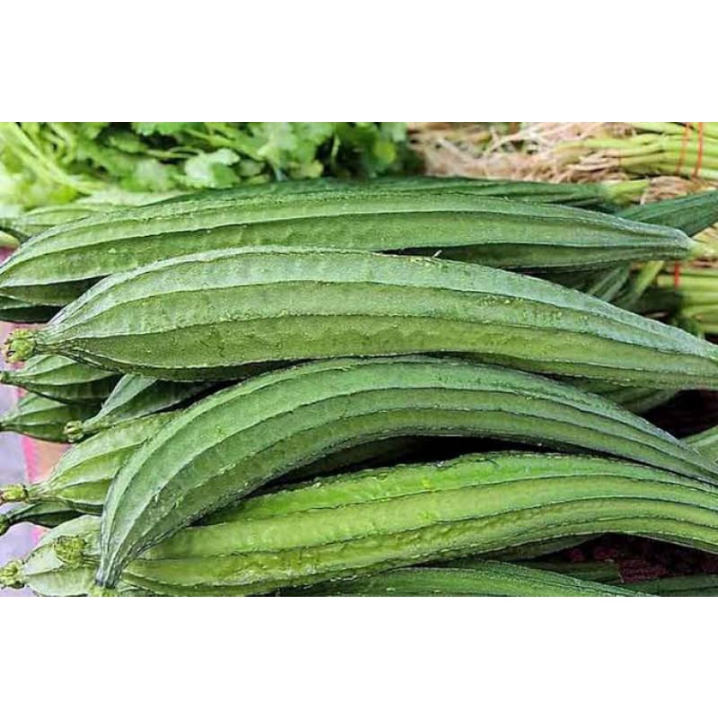 

Oyong 500 gr
