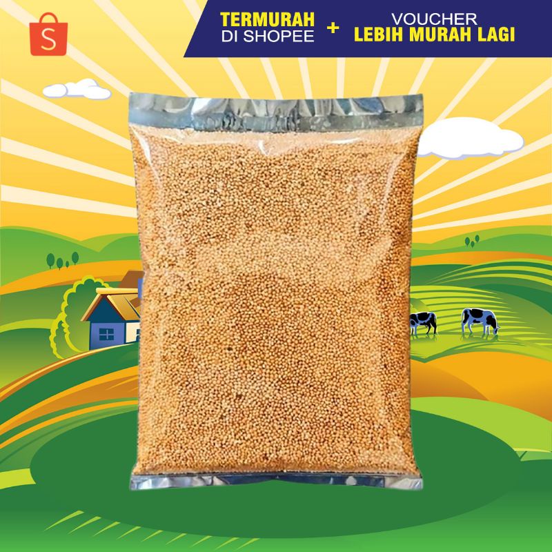 Yellow Millet Biji Millet Kuning Makanan Hamster Burung LoveBird 500 gr