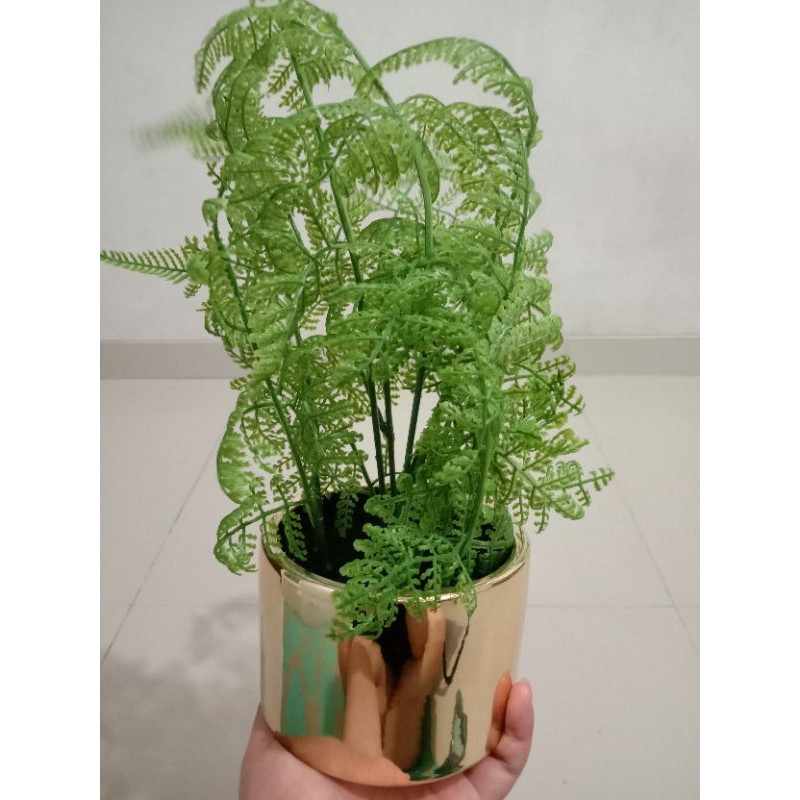 Tanaman pakis + pot gold/tanaman artifisial