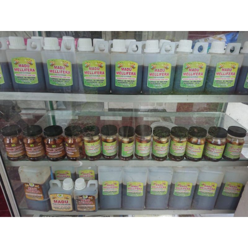 

madu Mellifera Sumatera