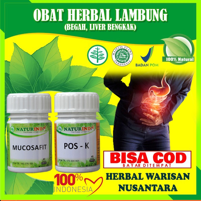 Obat Asam Lambung Ampuh Maag Gerd Masuk Angin Kronis Herbal Paling Ampuh Asam Lambung Maag Gerd Kembung Sesak Begah Masuk Angin Herbal Paling Ampuh MUI BPOM Mucosafit Naturindo-1