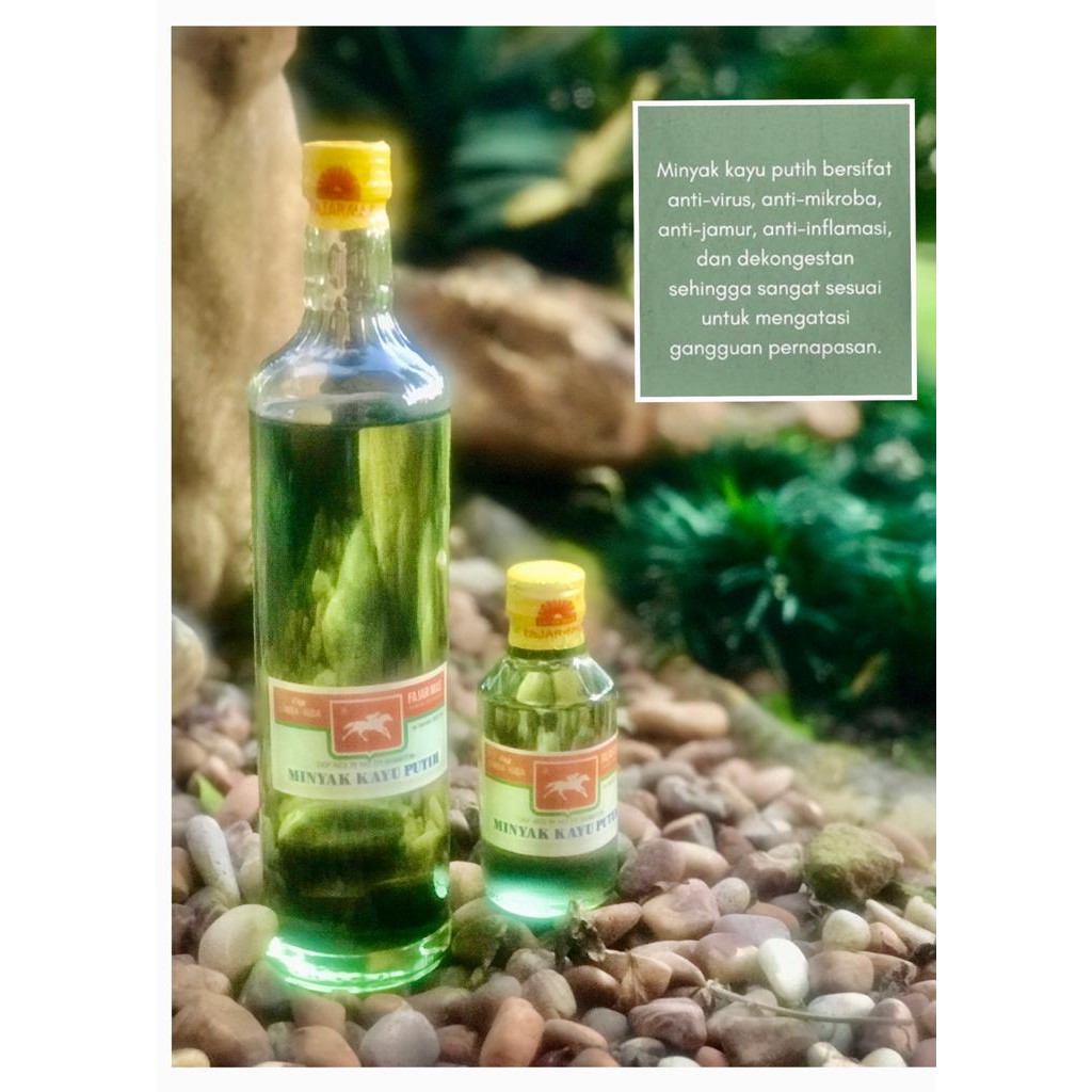 

Minyak Kayu Putih khas Pulau Buru (Ambon) 150 mL