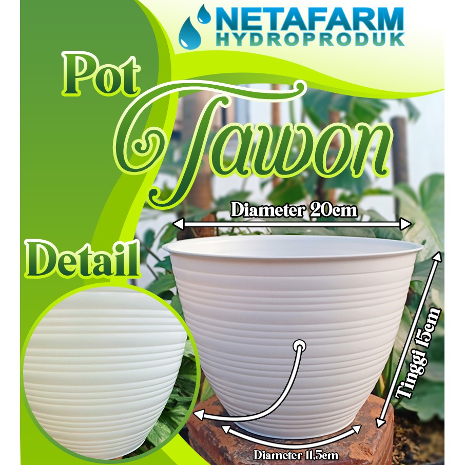 POT BUNGA / Tanaman Hias - POT Tawon Putih no 25