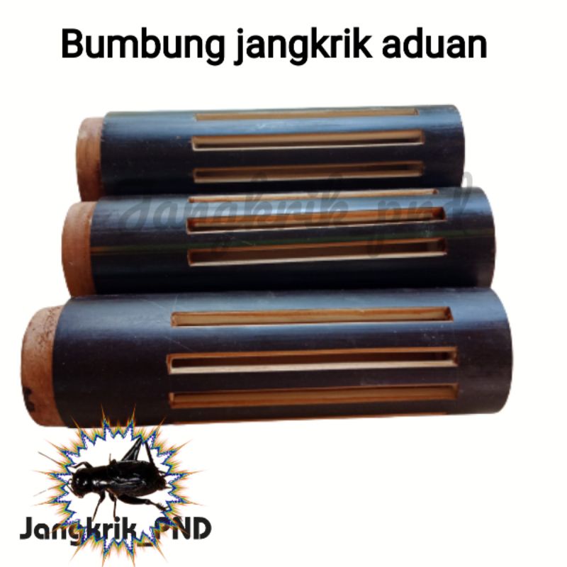 kandang jangkrik aduan bambu hitam bulat 3 pcs / bumbung jangkrik bambu wulung