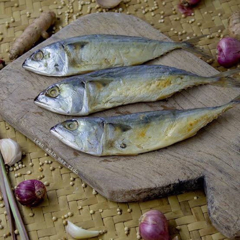 

ikan asin peda / ikan asin gembung 500 gr