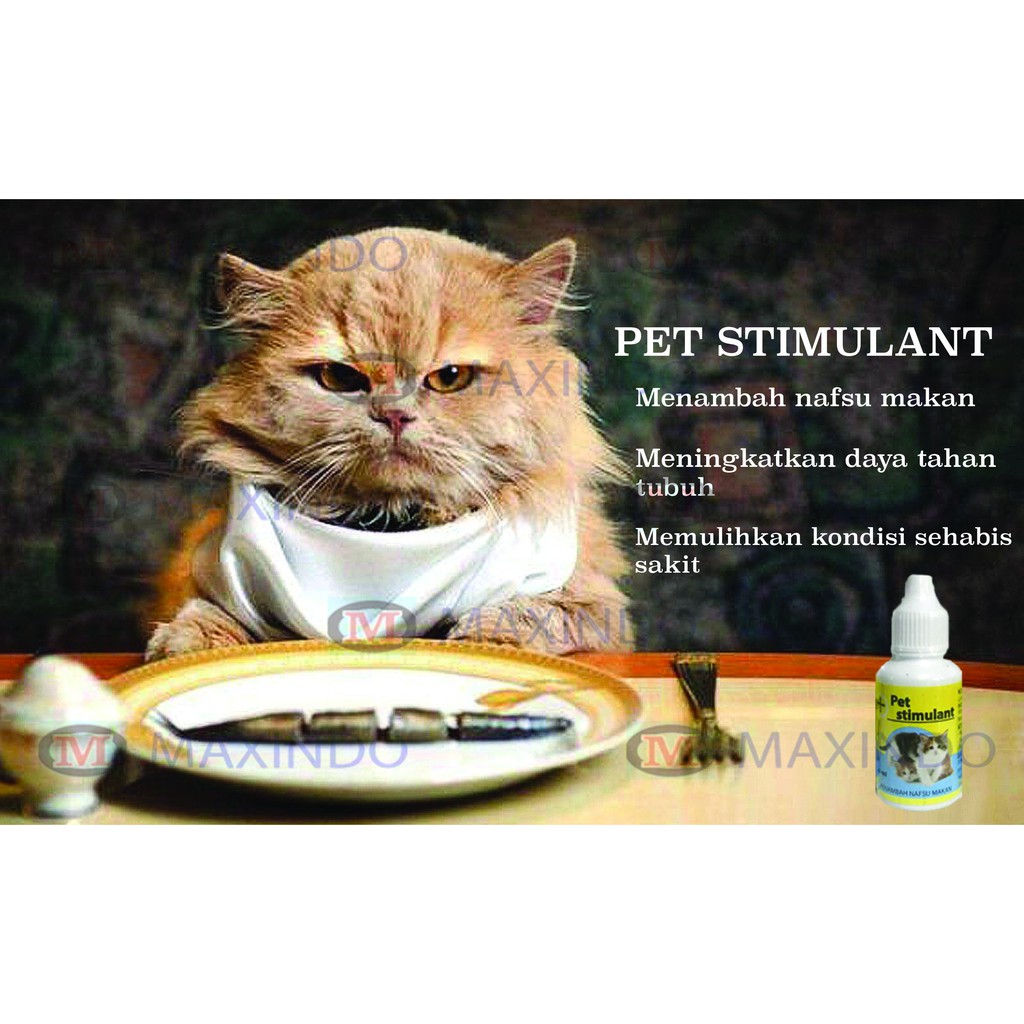 Vitamin Penambah Nafsu Makan Pet Stimulant for Cat 30 ml