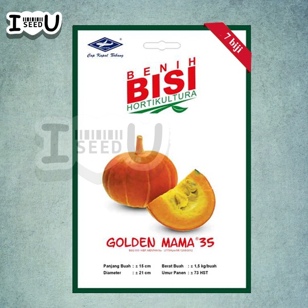 Bibit-Biji Labu Kuning Golden Mama 35 - Cap Kapal Terbang