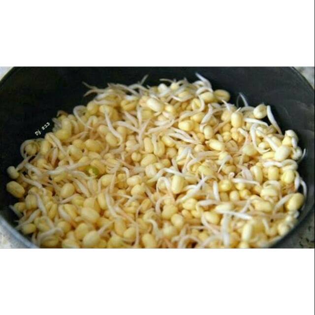 

Toge pendek/toge rawon (per pack)