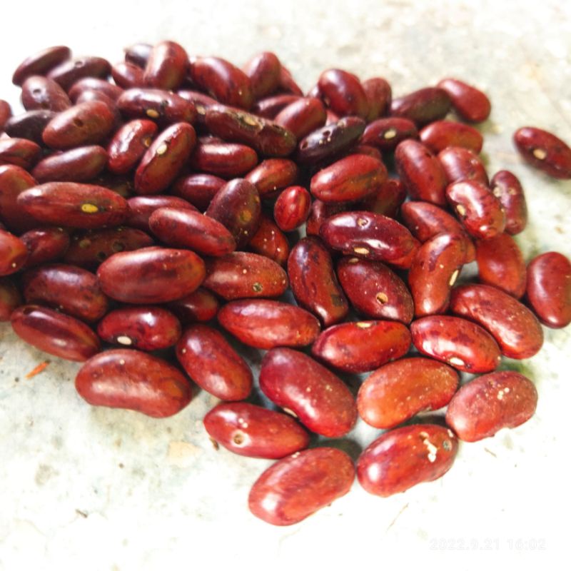 Kacang Merah 250 gram