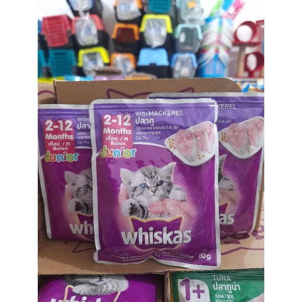 1Box(24pcs) Whiskas Sachet Junior 80g- Rasa Makarel makanan Kucing Basah Whiskas