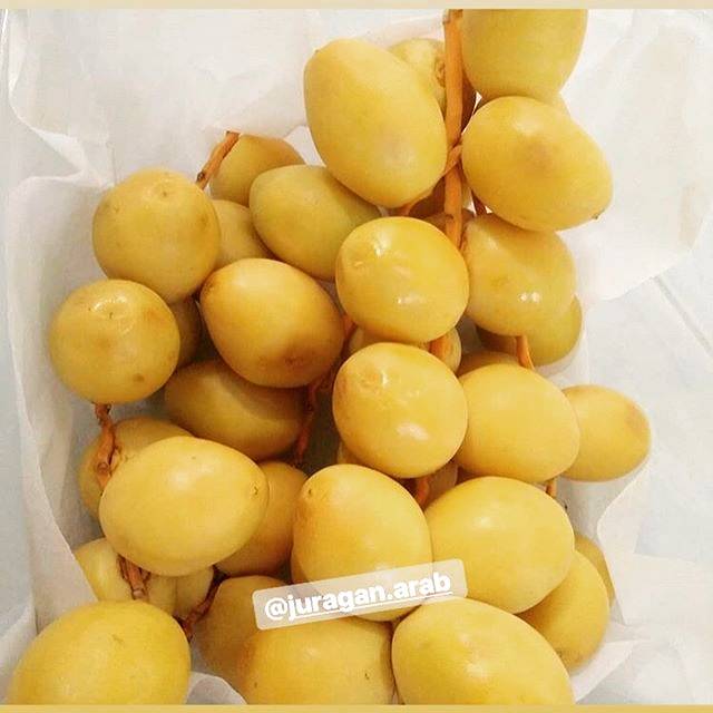 

Kurma Muda kuning hijau merah