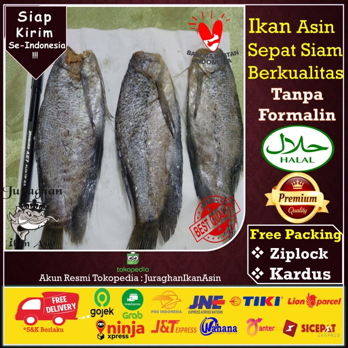 

Ikan Asin Sepat Siam TerEnak dan Termurah di Tangerang, 500 Gram