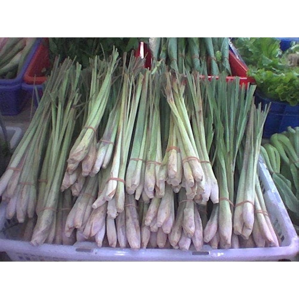 

Batang Serai Kecil Goceng 190 Gr ( Sayur Curah )