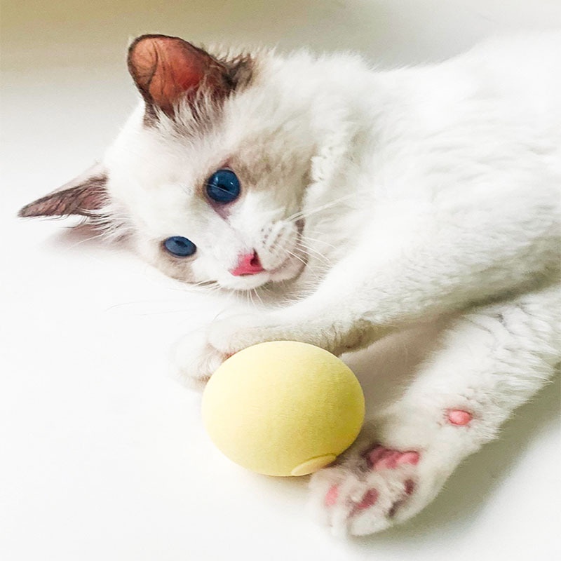 Mainan Bola Bulu Lucu Dengan Suara Untuk Kucing