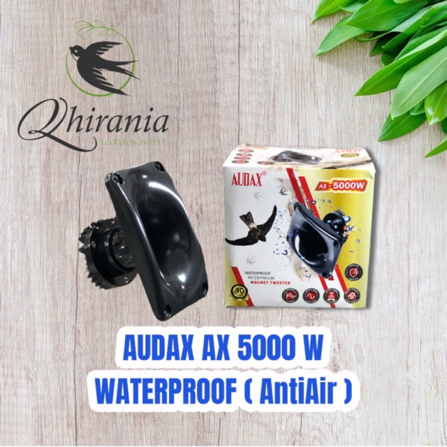 Tweeter Audax 5000W / Ax 5000 W