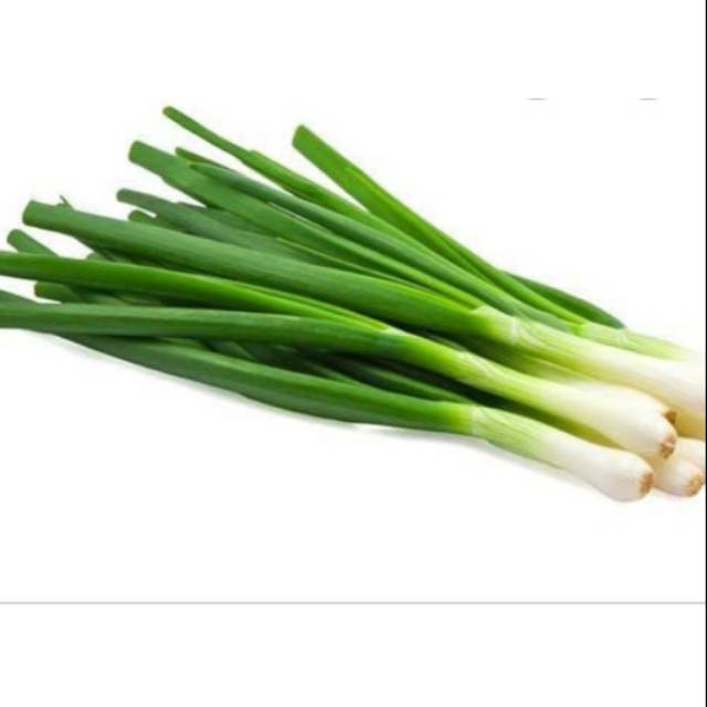 

Bawang daun