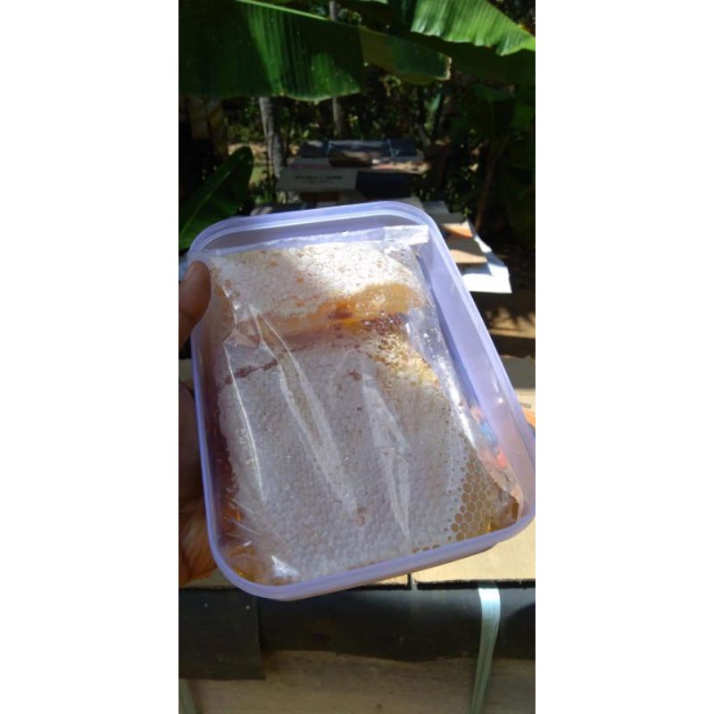 

Madu Sarang dari Madura Berat 700gram