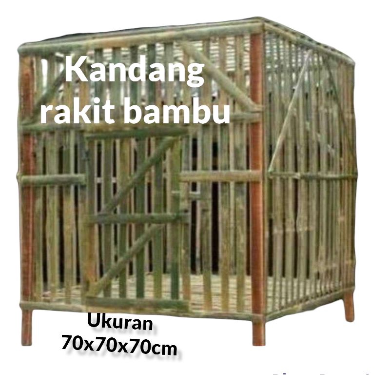 jual kandang ayam bangkok semarang