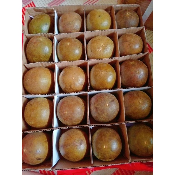 

Lohanko / Lohankuo / Lo Han Ko / Lo Han Kuo Ukuran Medium ( Standart )