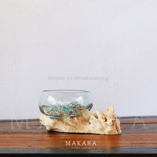 Glass on Wood Bowl Size M Pot Kaktus Vas Kaca Pot Glass on Wood Bowl Size M Pot Kaktus Vas Kaca Pot