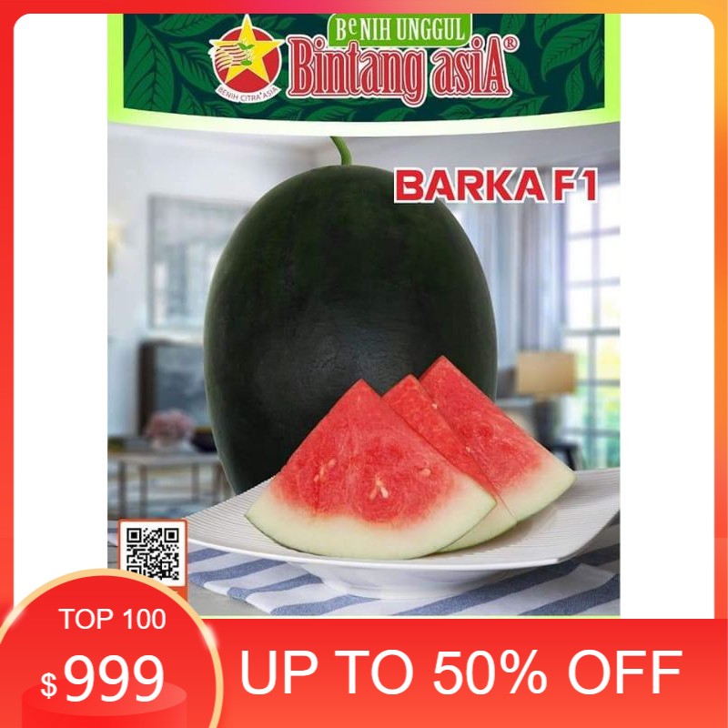 Benih Semangka Barka F1 Oval Non Biji Tahan Virus