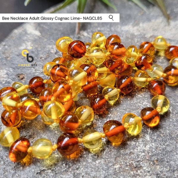 Kalung Amber Dewasa Premium Glossy Cognac Lime by Amberbee NAGCL85