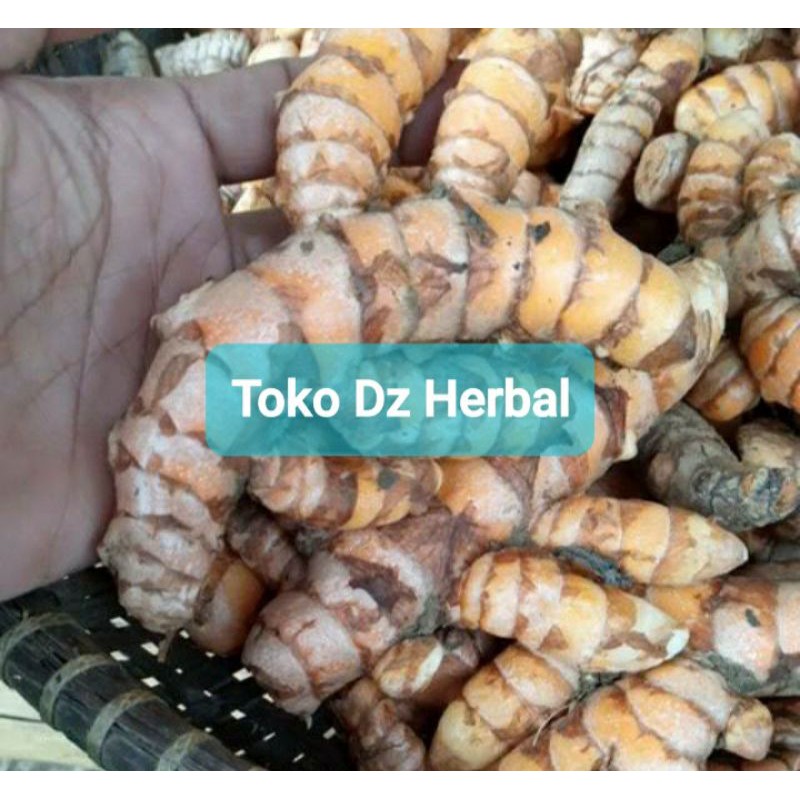 

Kunyit segar kunyit bumbu 1 kg ready stok-az