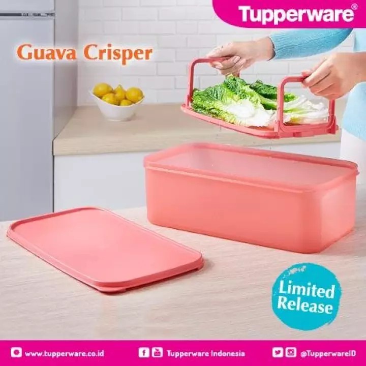 Guava Crisper Tupperware - Tempat Penyimpanan Makanan - Alat Tiris Sayur / Buah
