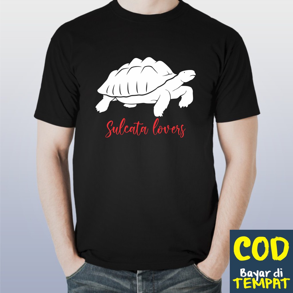 KAOS PREMIUM DISTRO SULCATA LOVERS (TORTOISE)