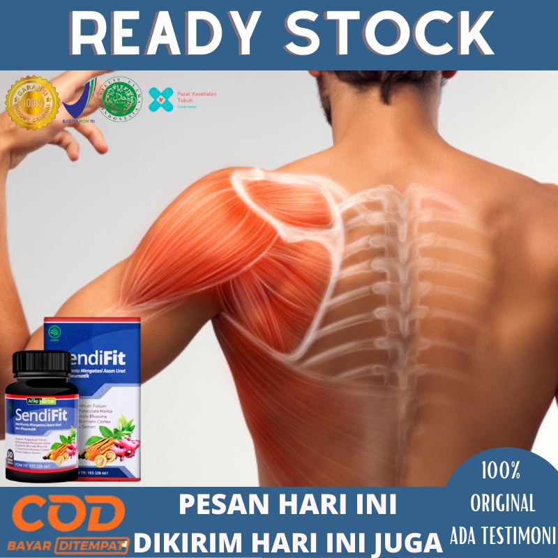 Obat Nyeri Otot Dan Sendi, Obat Nyeri Otot Tangan, Bahu, Lutut, belikat, Kaki, Obat Nyeri Otot, Obat