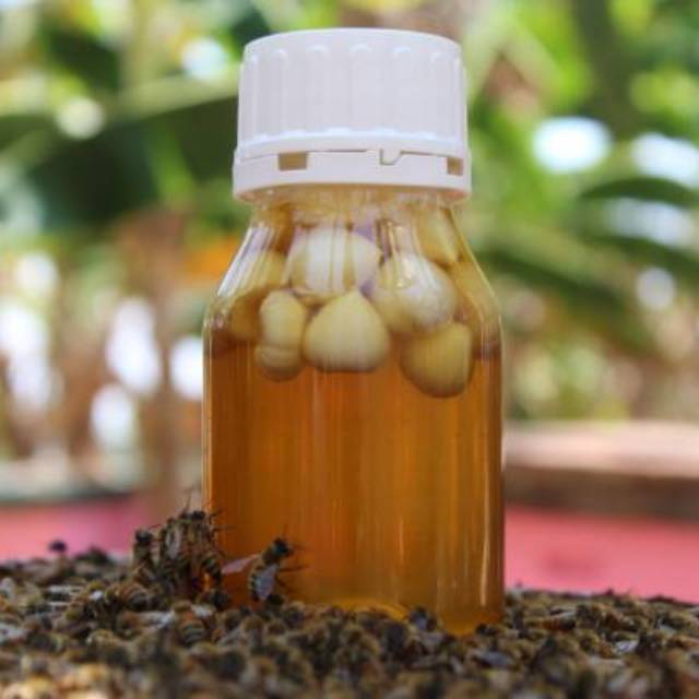 [Kikuk*] Madu Bawang Tunggal Lanang 340 gr-1