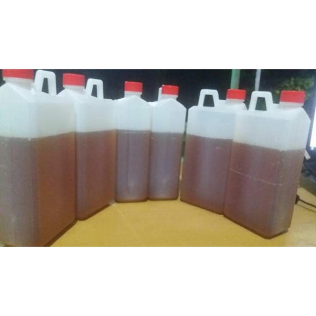

Madu Hutan Gold 1 kg