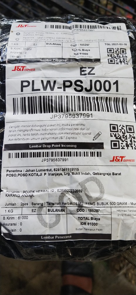 Tanaman Herbal Temu Kunci Bubuk 500 Gram - Murni Obat Kesehatan Rempah Bubuk / Kering