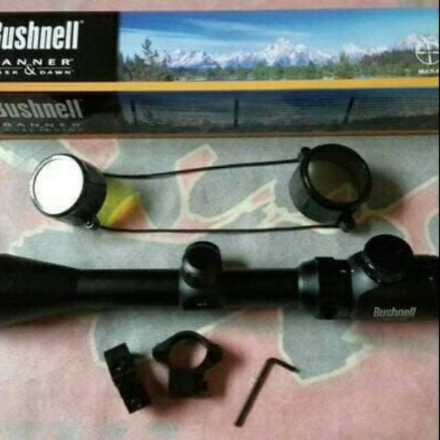 Bushnell 3-9x40...