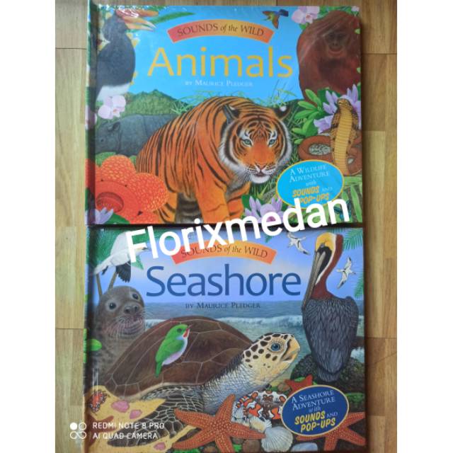 Sounds of the Wild Animals / Seashore by Maurice Pledger Pop Up Impor Book