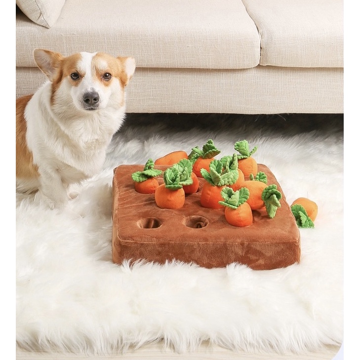 PULL CARROTS Hidden Food TOY