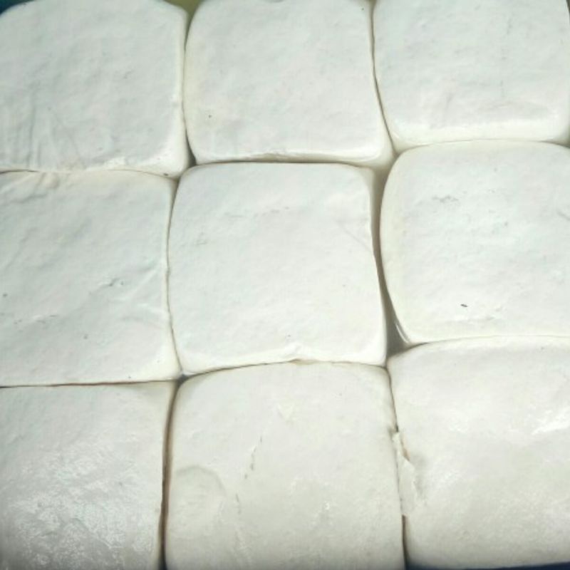 

Tahu putih besar
