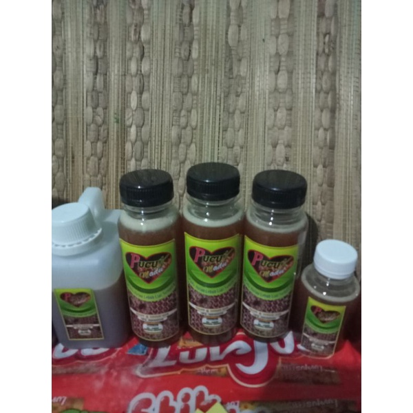 

madu hutan asli